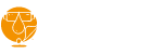 Liquid Vinyl